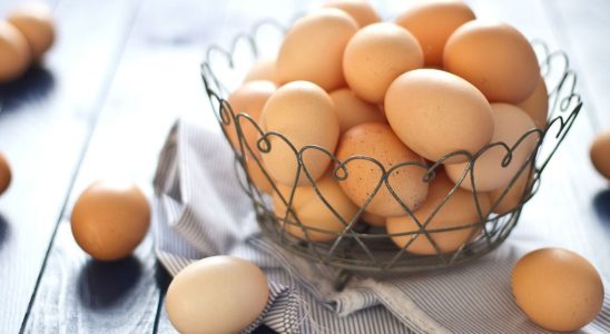 Eggflation how the egg became a luxury product