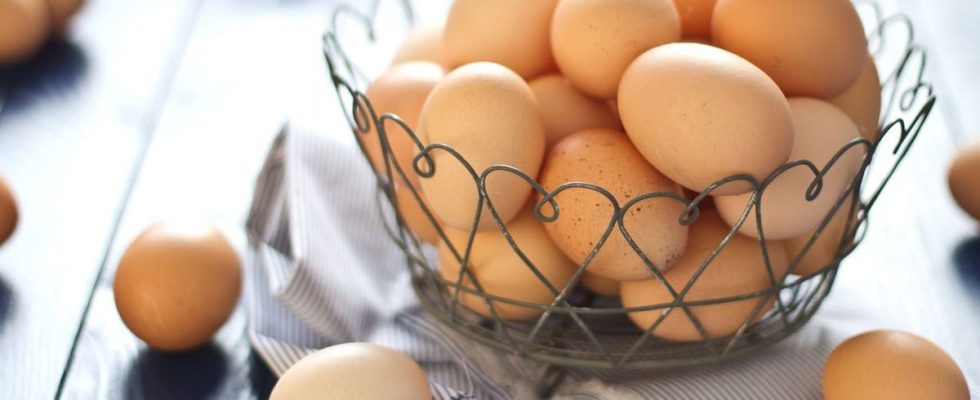 Eggflation how the egg became a luxury product