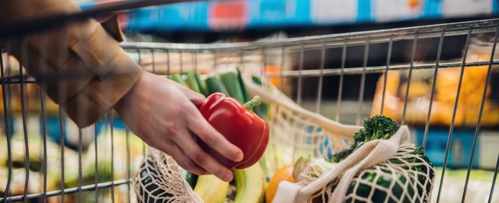 Food the most precarious French people lack 65 euros to