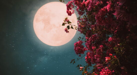 Full moon 2023 in March what effects on your astro