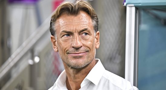 Herve Renard future coach of the Bleues will he recall