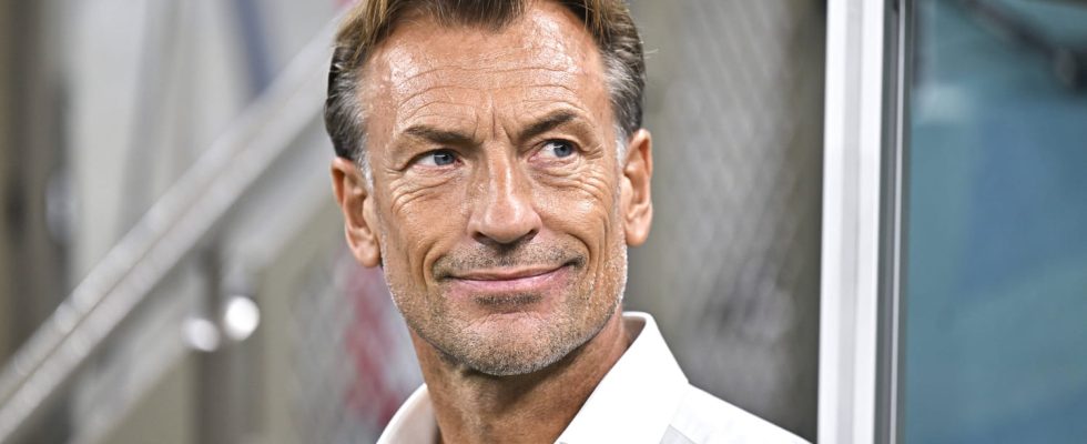 Herve Renard future coach of the Bleues will he recall