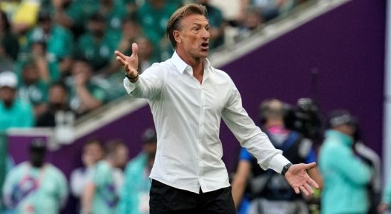 Herve Renard will take the lead of Les Bleues