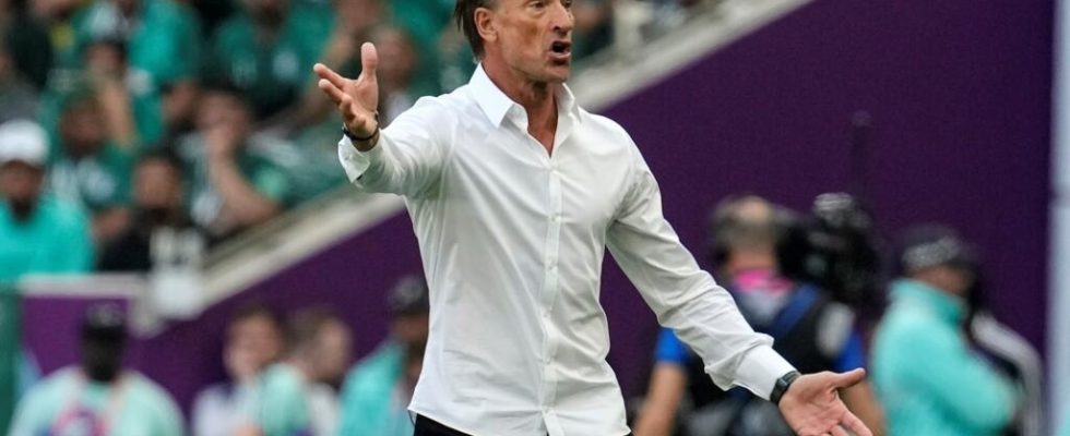 Herve Renard will take the lead of Les Bleues