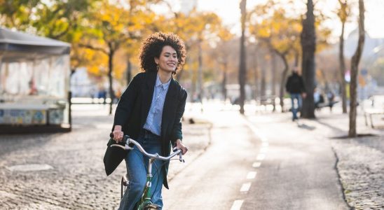 How Helsingborg a Swedish coastal city became a cyclists paradise