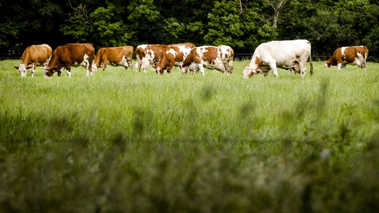 How the Utrecht parties think about nitrogen policy