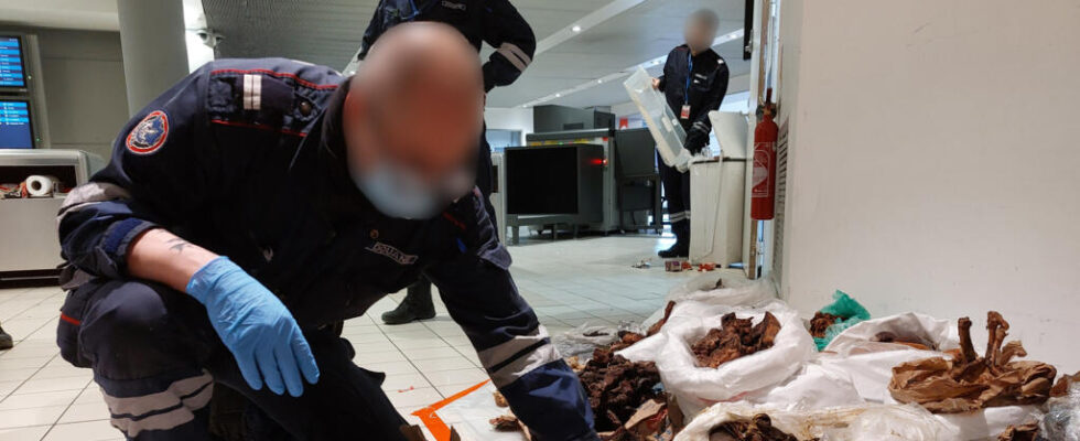 Illegal goods in Roissy overwhelmed French customs officers seek parade