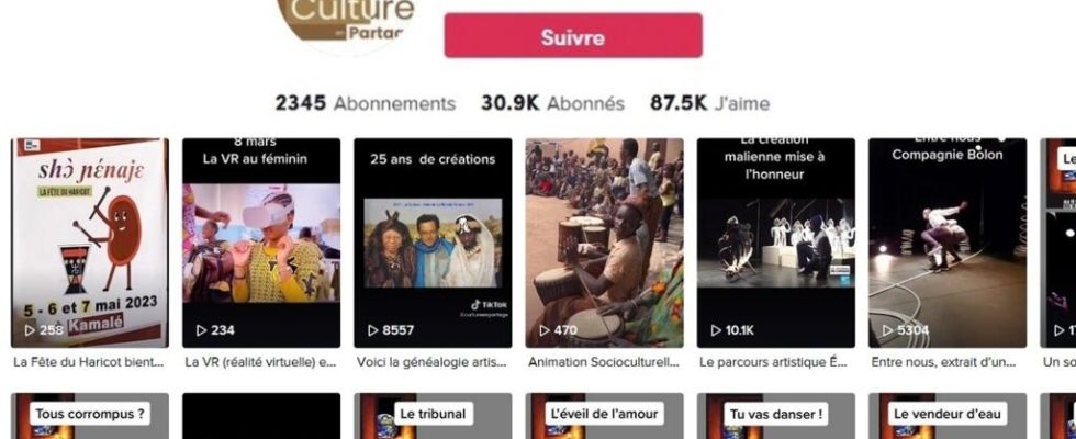 In Mali KotEsope and BiBook promote the Francophonie