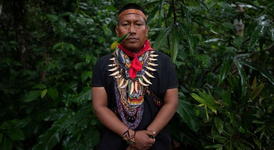 In the Ecuadorian Amazon the sacred path of ayahuasca