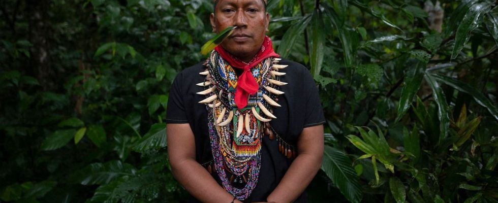 In the Ecuadorian Amazon the sacred path of ayahuasca