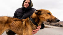 Iryna saved animals from Russian bombs and did other heroic