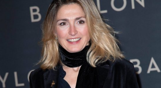 Julie Gayet says yes to cosmetic surgery but on one