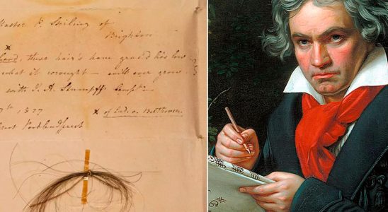 Ludwig van Beethovens saved hair reveals secret