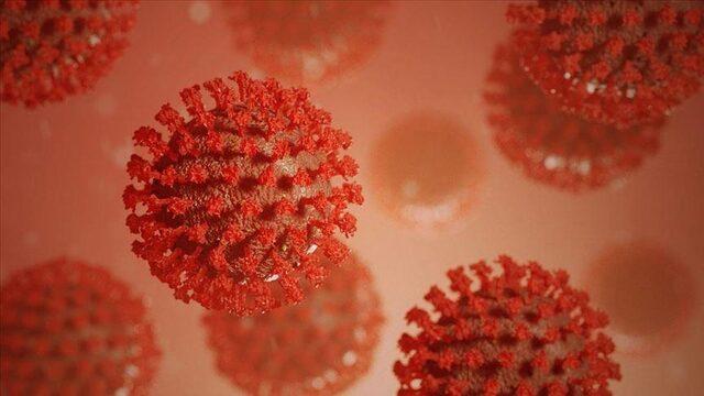 Marburg virus alert in Tanzania 5 people died