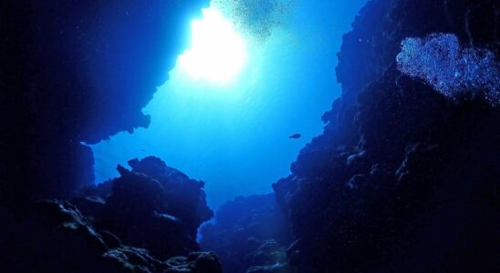 Medical research attacking molecules hidden in the seabed