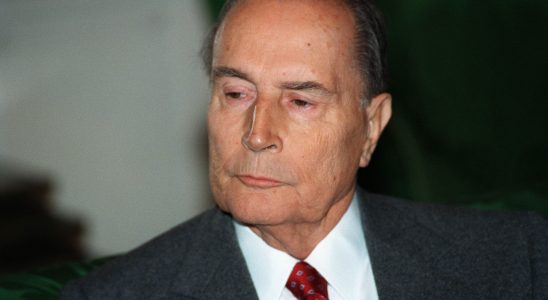 Mitterrand this novel that never ends