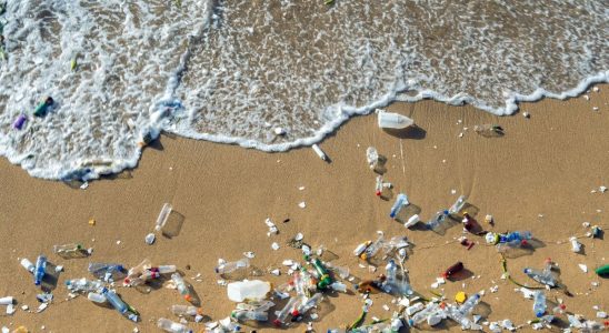 New record for ocean plastic pollution study finds