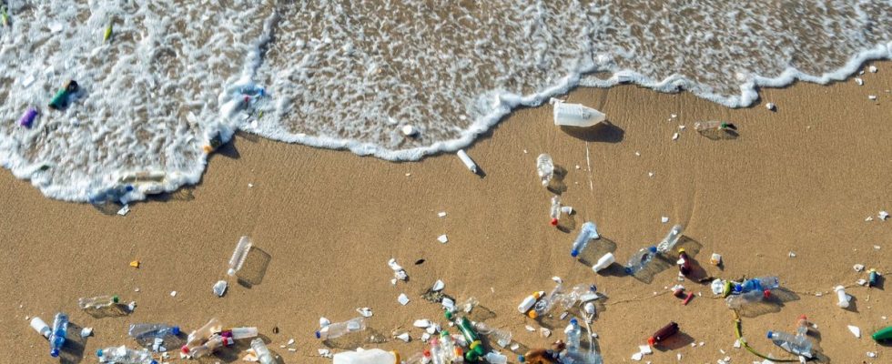 New record for ocean plastic pollution study finds