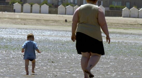 Nicolas Bouzou and Anne Sophie Joly Against obesity prevention is more