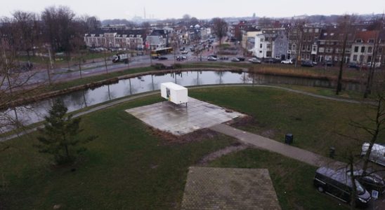 No Roost but so what Utrecht residents help decide about