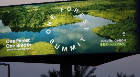 One Forest Summit in Gabon protecting the rainforest