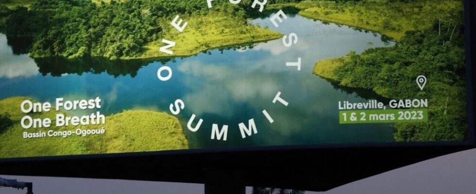 One Forest Summit in Gabon protecting the rainforest