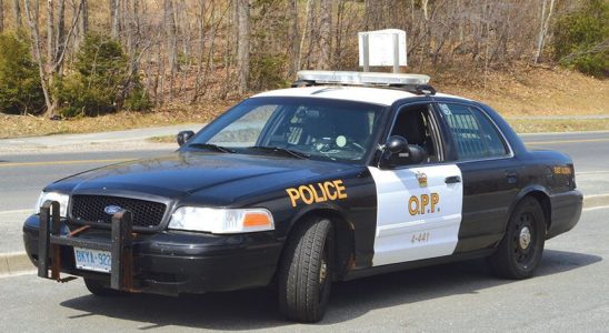 Pedestrian injured in assault robbery in Hagersville