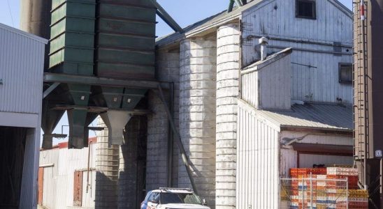 Probe launched into death of teen worker in grain elevator