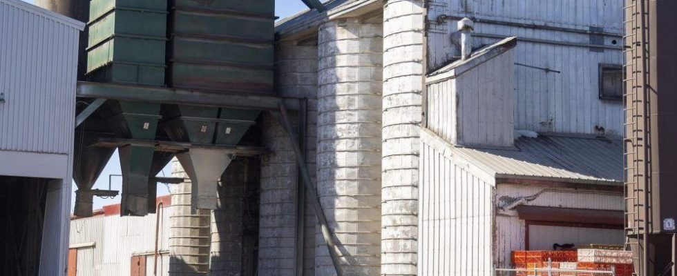 Probe launched into death of teen worker in grain elevator