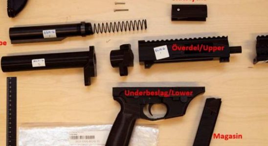 Record seizure of 3D weapons concern about acts of