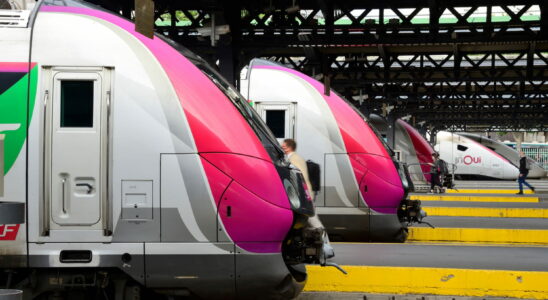 SNCF strike disruptions on the TGV TER RER of March