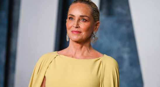 Sharon Stone unrecognizable at 65 has she fallen for cosmetic