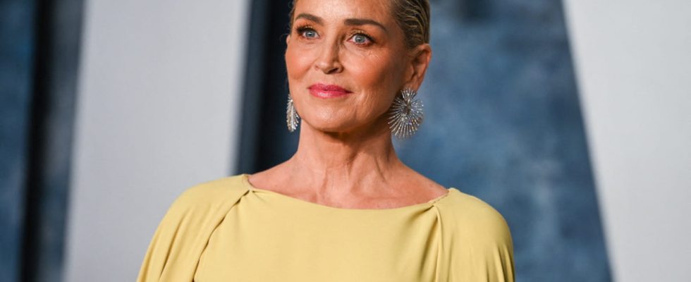 Sharon Stone unrecognizable at 65 has she fallen for cosmetic