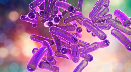 Shigella why does this bacterium present in Europe worry researchers