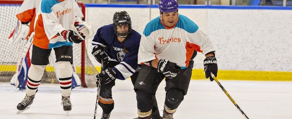 Six Nations Police OPP face off in charity hockey game