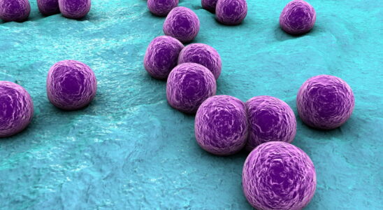 Staphylococcus what is it getting rid of it contagious