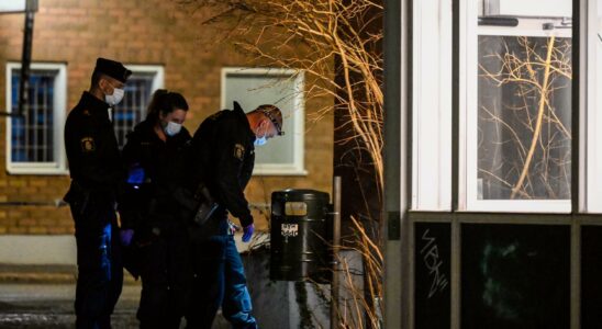 Suspected knife murder in Stockholm