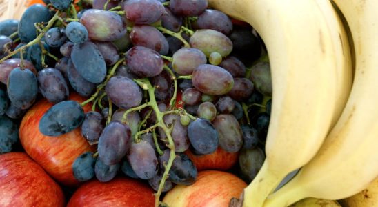 Sweden uses EU money for fruit in schools