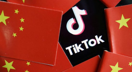 The Belgian government bans the TikTok app from its employees