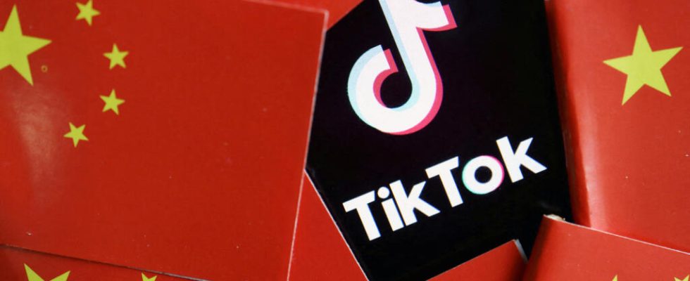 The Belgian government bans the TikTok app from its employees