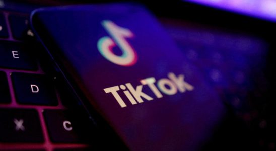 The British government bans its employees from using TikTok