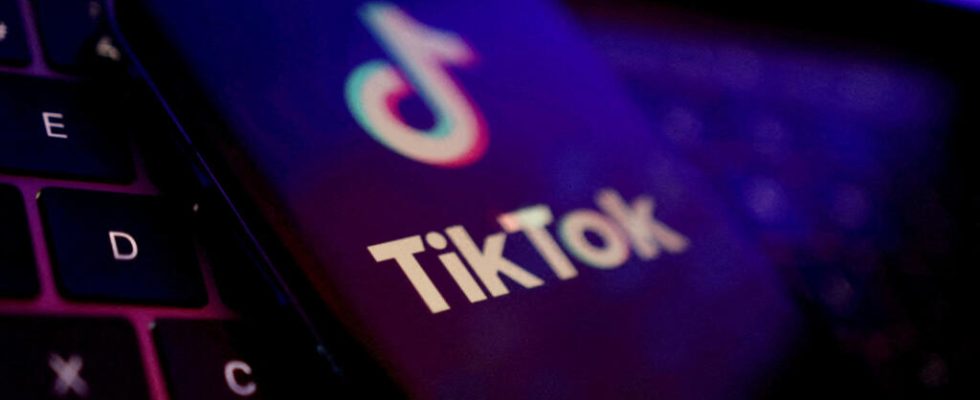 The British government bans its employees from using TikTok