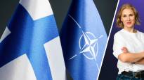 The Turkish parliament ratified Finlands membership as the last NATO