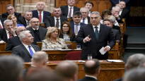 The ruling party Fidesz The Hungarian parliament ratified Finlands NATO