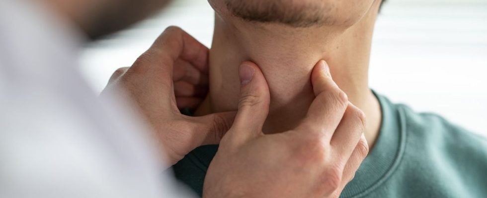 Thyroid HAS issues clear recommendations for dysthyroidism