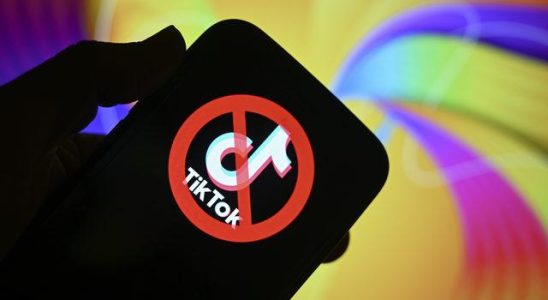 TikTok ban is expanding Great decision from England