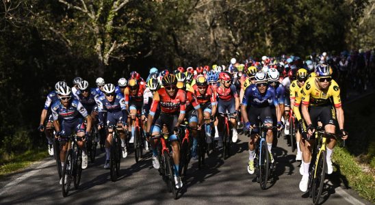 Tirreno Adriatico 2023 a 4th stage for punchers profile and ranking