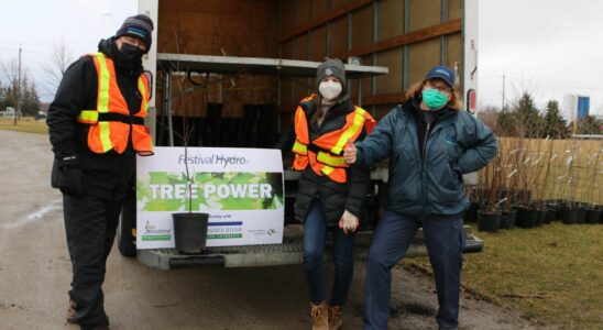 Tree Power returns to Stratford for third year giving residents