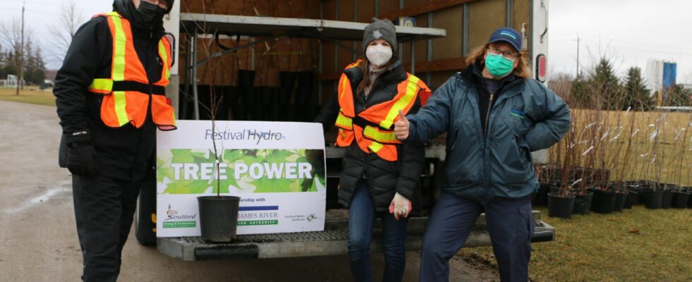 Tree Power returns to Stratford for third year giving residents