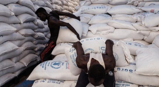 Two out of three Sudanese will need humanitarian aid in